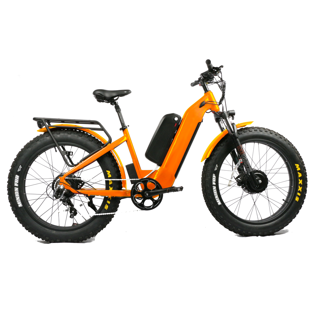 Dual Motor Electric Motorcycle Frame - Hydraulische voorvork voor een goedkope prijsfiets,